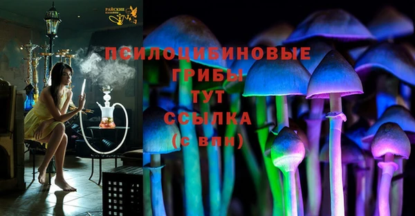 твердый Абаза