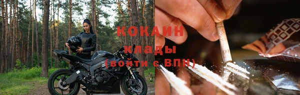 твердый Абаза