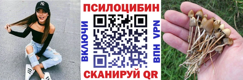 Псилоцибиновые грибы Cubensis  Емва 
